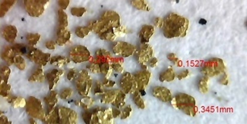 Новосибирцы создали центрифугу, улавливающую микронные частицы золота
