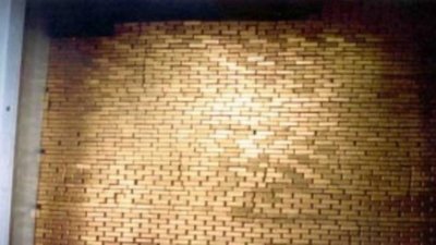 ЦБ РФ обеспечил более половины мирового спроса на золото