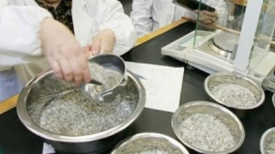 Экспорт алмазов из РФ в I квартале вырос на 22%, импорт алмазов сократился в 2,6 раза