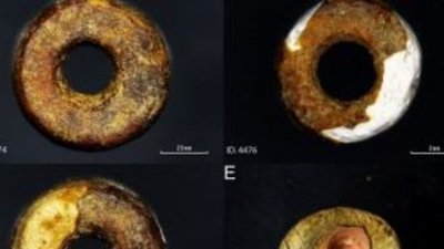 Янтарь подделывают с доисторических времен