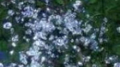 АЛРОСА снижает планируемые доходы на 3%