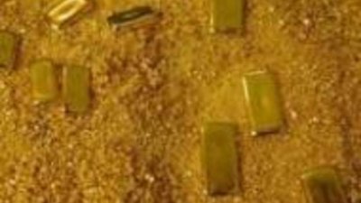 Золото скифов вернулось в Тыву