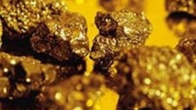 Видная россыпь на Камчатке осталась невостребованной