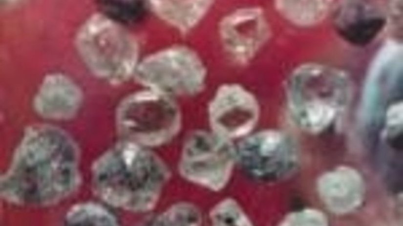 Правительство РФ утвердило ставки ввозной таможенной пошлины в отношении необработанных алмазов