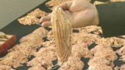 Серебряная бизнес-леди