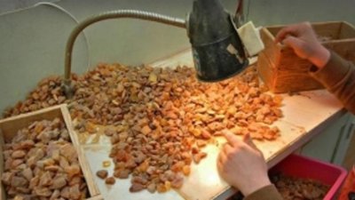 Янтарный комбинат перейдет под контроль "Ростеха" к концу 1-го квартала 2014 года