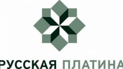 Глава Норильска встретился с руководителем «Русской Платины»