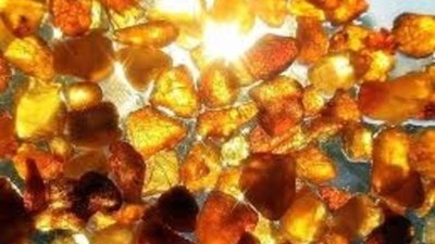 Особый порядок вывоза янтаря продлен до конца года