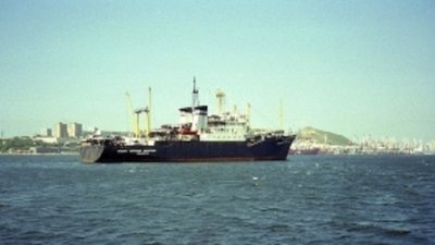 Подводная гора станет золоторудным месторождением