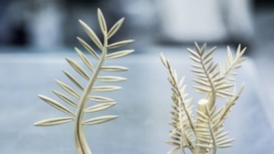 Новый дизайн «Золотой пальмовой ветви» - на вес золота