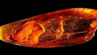 Люблинское воеводство станет конкурентом Калининградской области?