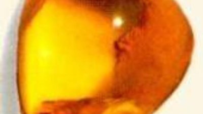 Олимпийское золото янтарного цвета