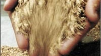 Совет директоров "Лензолота" вновь возглавил Михаил Стискин