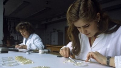 Минфин обсуждает повышение на 35% цен на алмазы Гохрана