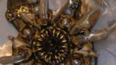 Рационализм и интеллектуальная роскошь