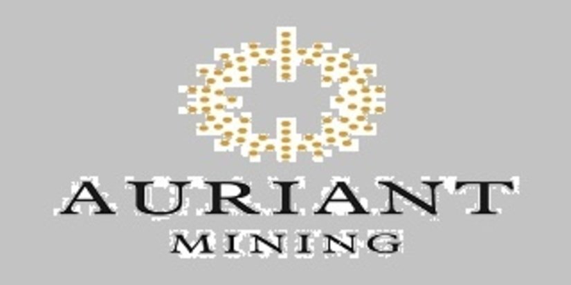 Экономические показатели опубликованы Auriant Mining