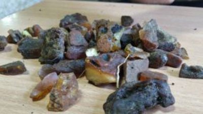 Штраф за незаконную добычу янтаря составляет от 200 до 500 тысяч рублей