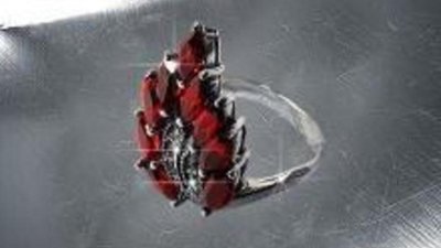 Выставку «Семнадцать веков чешского граната» продлили