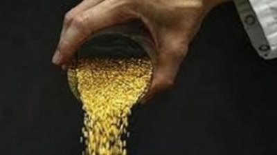 Конец июня 2013: прогноз по золоту от Goldman Sachs