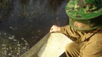 Забайкальские депутаты попросили Госдуму легализовать индивидуальных золотодобытчиков