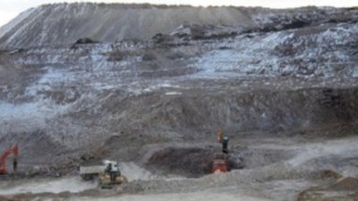 Алтайский депутат Гуминский продает свое "Золото Курьи"