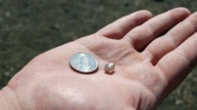 В «Парке алмазов» найден камень в 2,89 карата