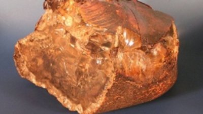 Большие куски янтаря нужно отдавать ювелирам Калининградской области