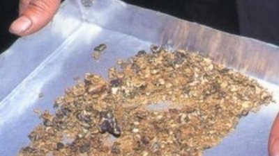 Добыча серебра на Колыме будет рекордной