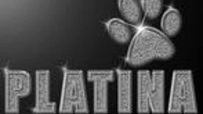 Китай поддерживает рост цен на платину