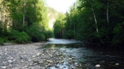 «Дальневосточник» пополнил ресурсную базу