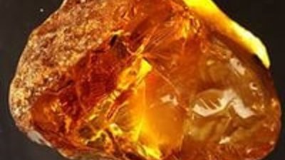 Производители янтаря РФ создали профессиональное объединение