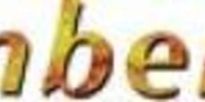 В Гданьске открывается AMBERIF Fair 2009