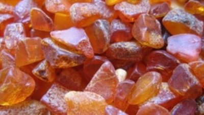 Правительство РФ внесло в Госдуму законопроект