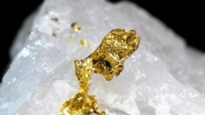 "Приморгеология" выявила перспективы на драгметаллы Вознесенской площади