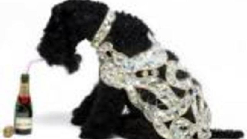В собачьей моде первенствуют бриллианты 