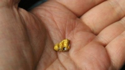 В Бурятии оштрафовали старателей