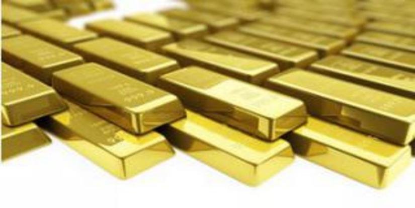 Компания White Tiger Gold планирует приступить к разработке российского золотогорудного месторождения Наседкино