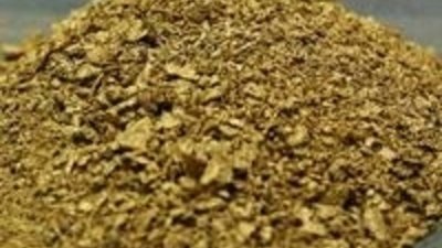 Цена на золото в этом году может подняться до 1500 долларов или выше