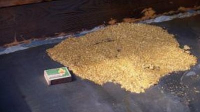 В Магадане задержана партия промышленного золота