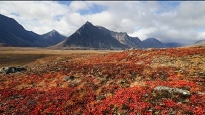 ЧГГП вернулось на Кувет-Куэквуньскую площадь