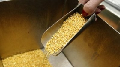 В Дагестане нашли 300-тонные запасы золота