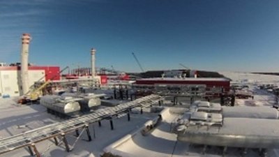 Алекперов назвал ориентировочный объем добычи на Гриба