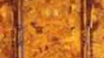 Cамое большое в мире панно из янтаря