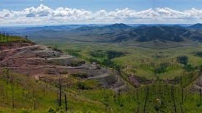 Поразительная динамичность Auriant Mining