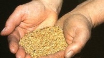 "Высочайший" в янв-июне сохранил добычу на уровне года ранее