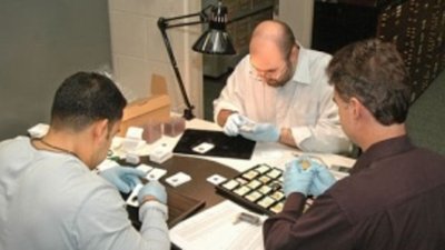 Экспертиза монет: где и за сколько?