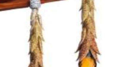 Шарапова выбрала серьги на US Open