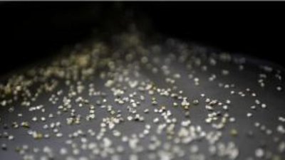 IGT начнет продажу малых офисов по цене ниже 600 000 долларов