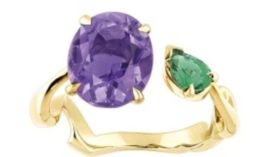 Дом Dior представит новую коллекцию Diorama Precieuse