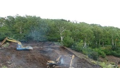 Итоги золотодобычи января-мая подвела TSG